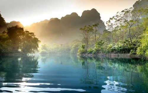 节能绿色